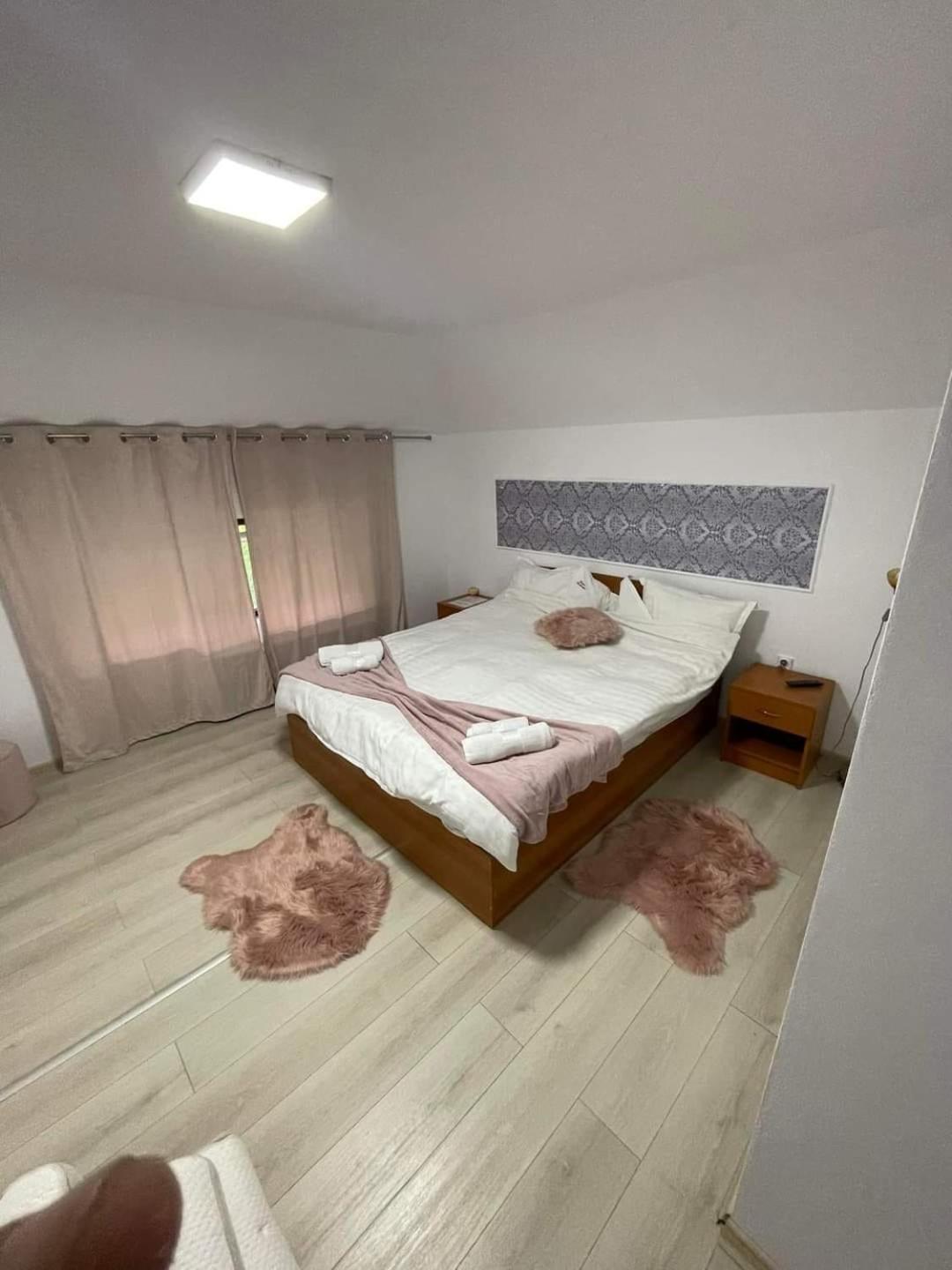 Casa Nicholas Zărneşti